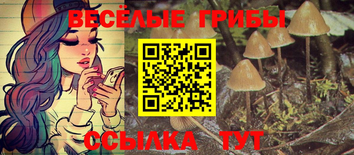 Галлюциногенные грибы мухоморы  Вход с VPN  Алатырь 