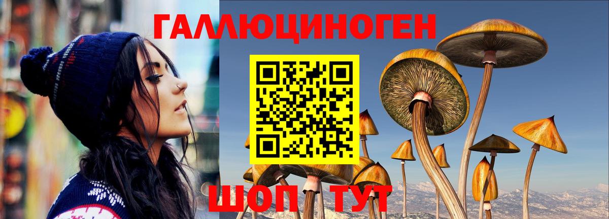 Галлюциногенные грибы ЛСД Алатырь